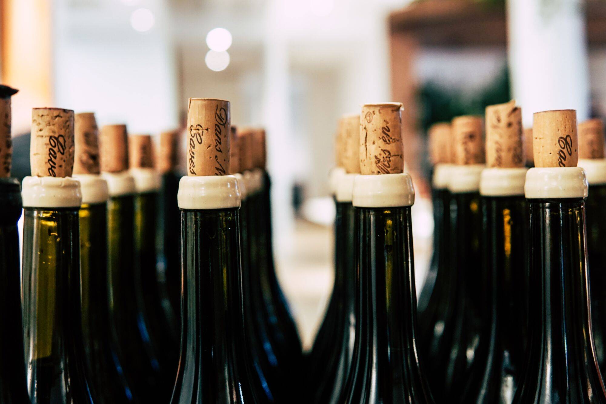 Dégustation de vins Amnéville 2